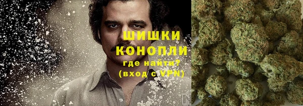 гашик Нея