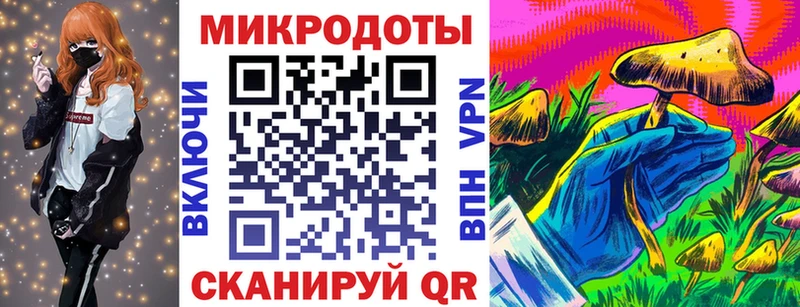 Псилоцибиновые грибы Cubensis как найти Обоянь