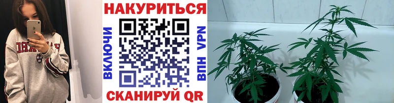 Конопля Amnesia  Обоянь 